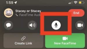 how to mute someone on Facetime